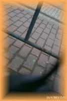 th_p0008891.jpg 5.3K