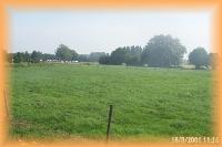 th_p0006564.jpg 4.9K