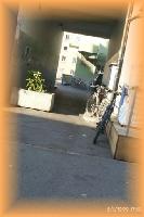 th_p0010081.jpg 5.7K
