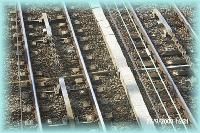 th_q0002099.jpg 11.0K