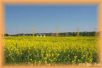 th_p0004038.jpg 6.5K